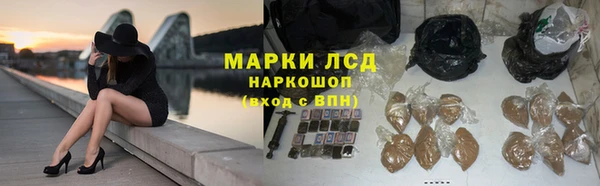 spice Богородицк
