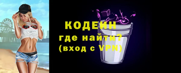 spice Богданович