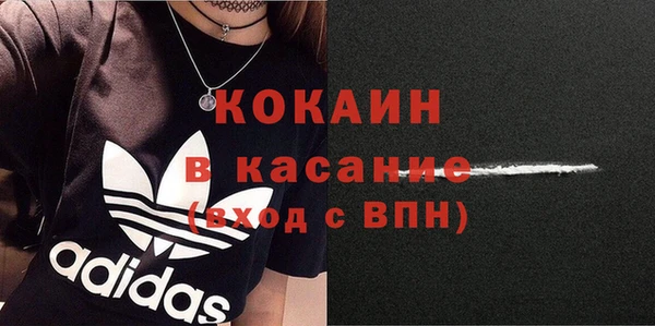 spice Богородицк