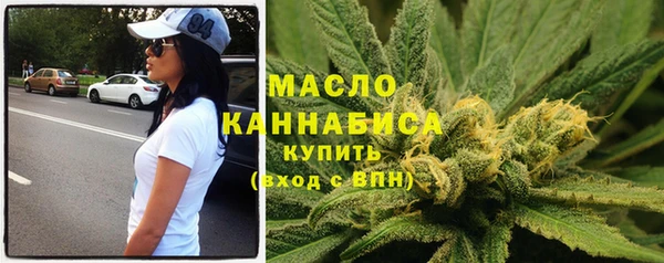 spice Богородицк