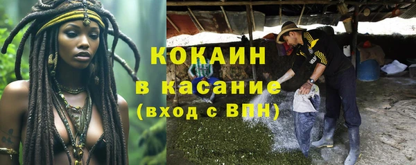 spice Богородицк