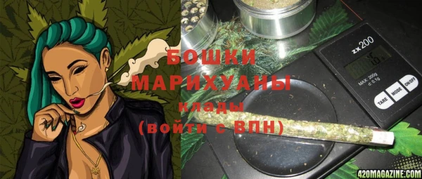 spice Богданович