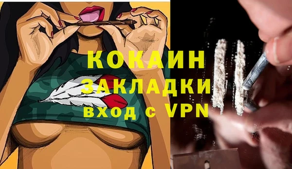 spice Богданович