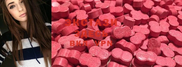 spice Богданович